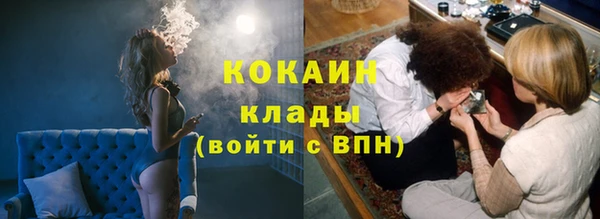 шишки Богданович