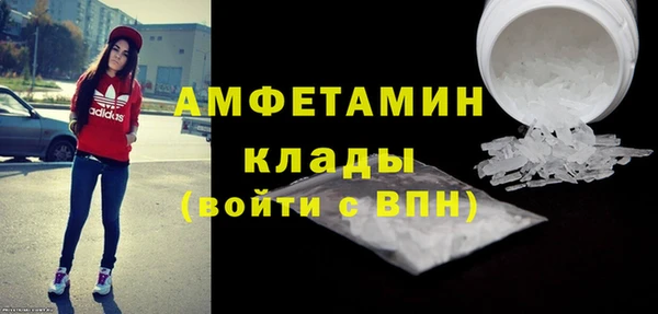 индика Богородицк