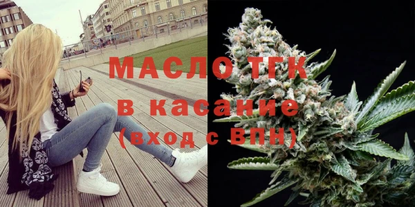 индика Богородицк