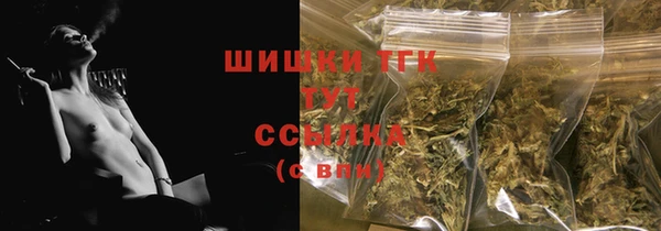 шишки Богданович