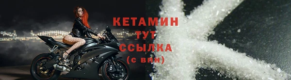 индика Богородицк