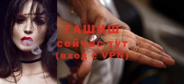 индика Богородицк