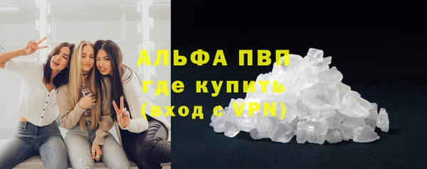индика Богородицк