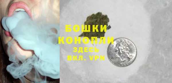 шишки Богданович