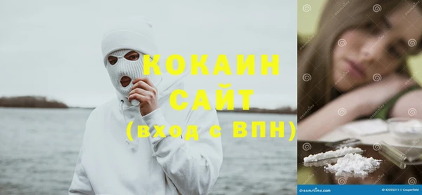индика Богородицк