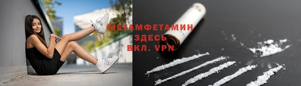 индика Богородицк