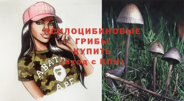 индика Богородицк