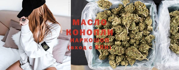 индика Богородицк