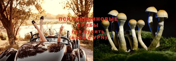 гашик Няндома