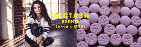 индика Богородицк