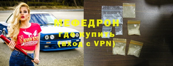 индика Богородицк