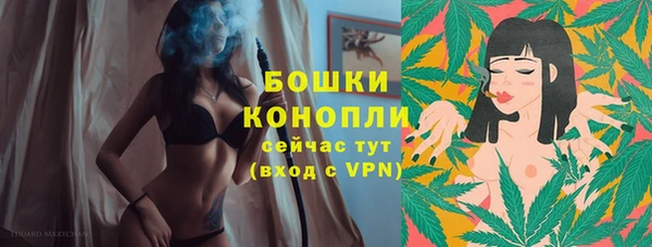 индика Богородицк