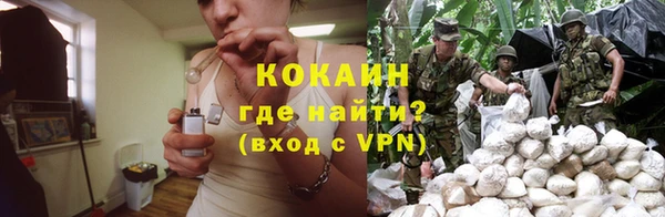 индика Богородицк