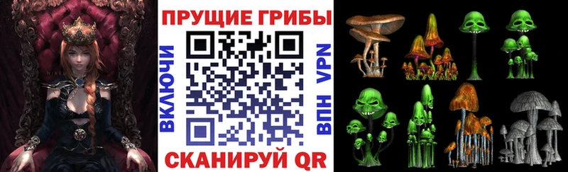 сколько стоит  Можайск  Галлюциногенные грибы мухоморы 